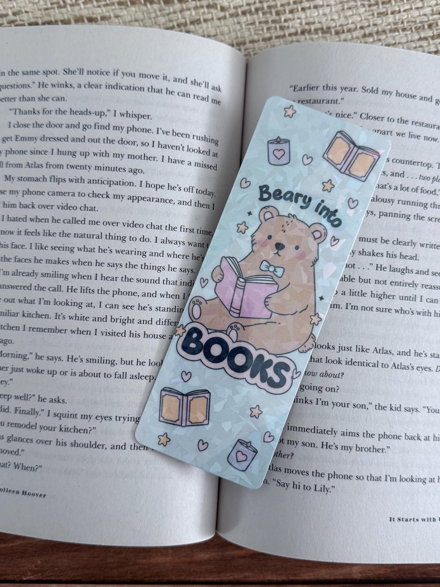 Beary Into Books