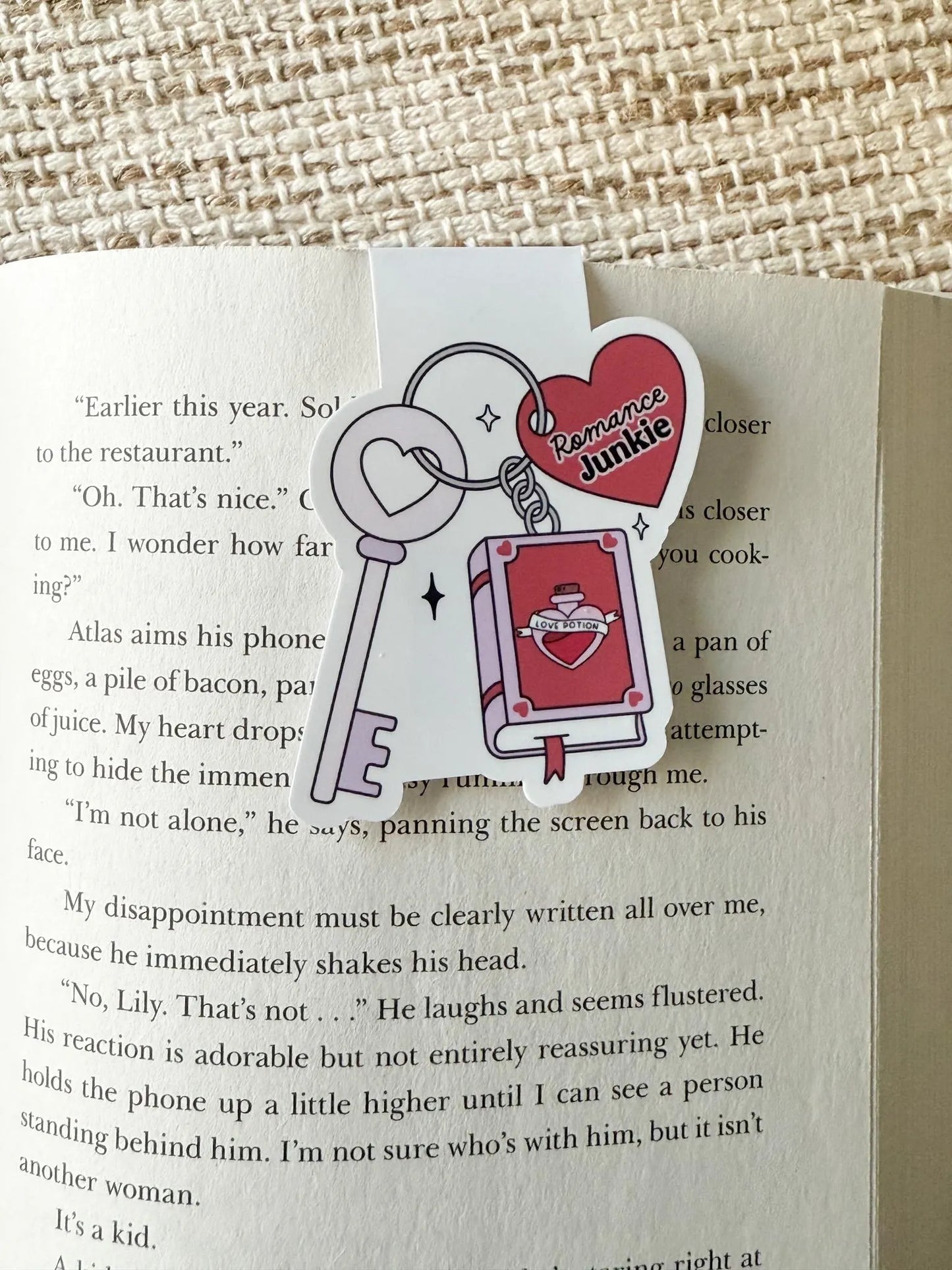 Bookish Junkie Magnetic Bookmark