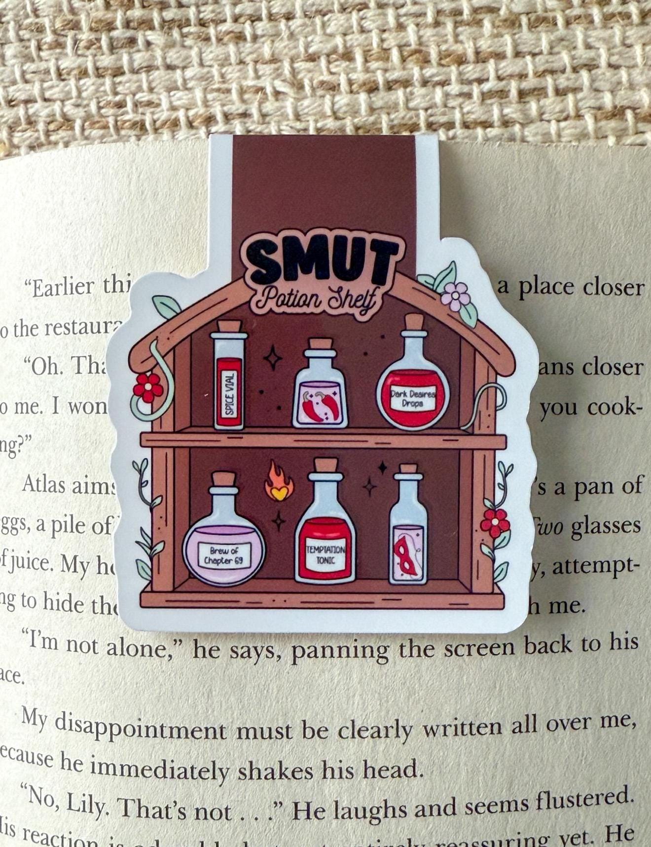 Potion Shelves Magnetic Bookmark