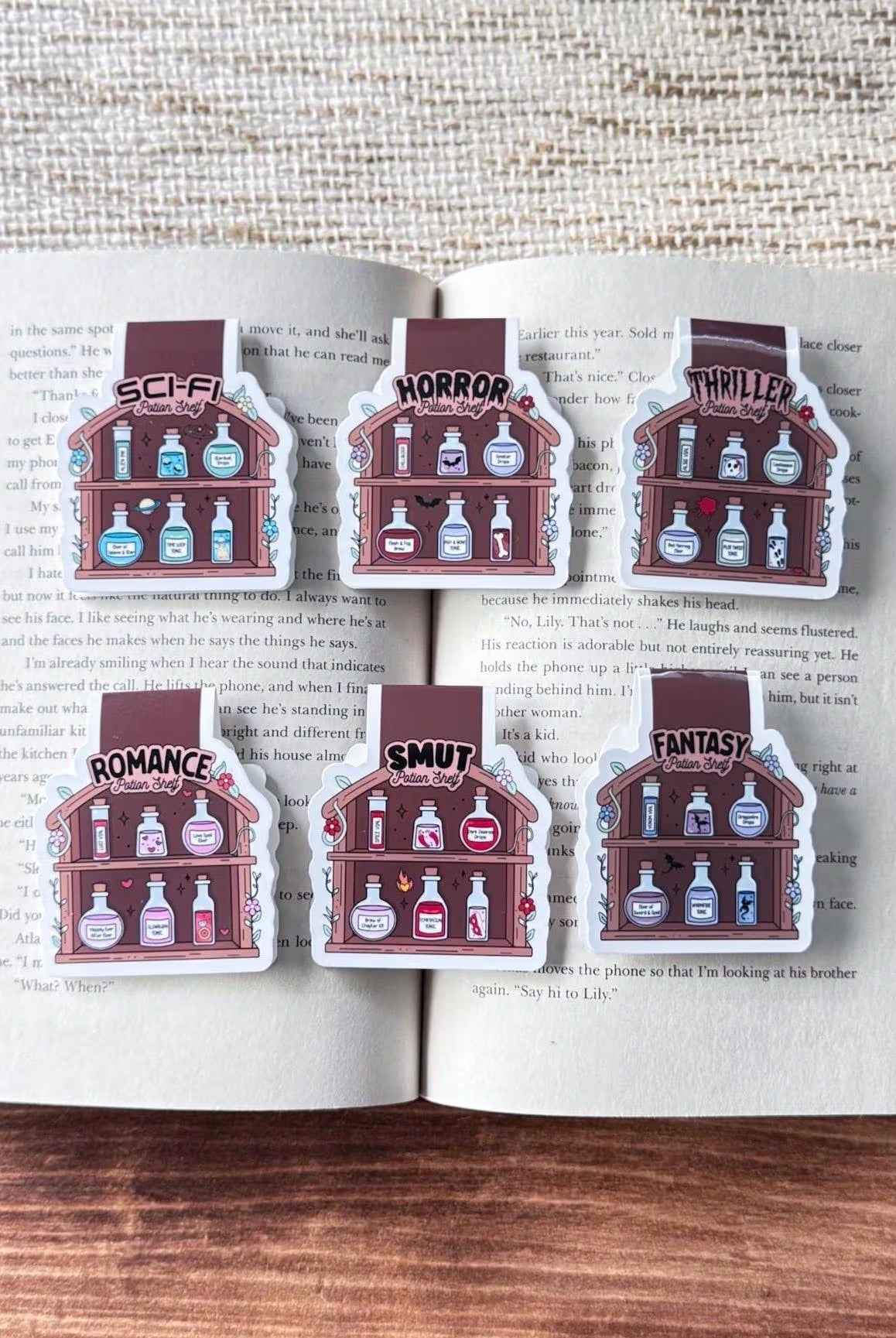 Potion Shelves Magnetic Bookmark