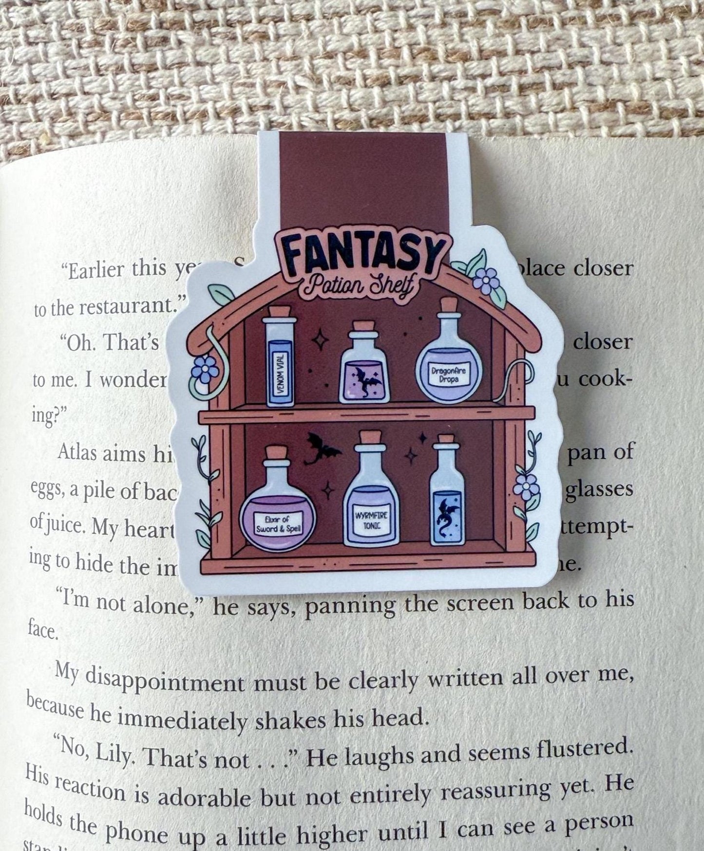 Potion Shelves Magnetic Bookmark