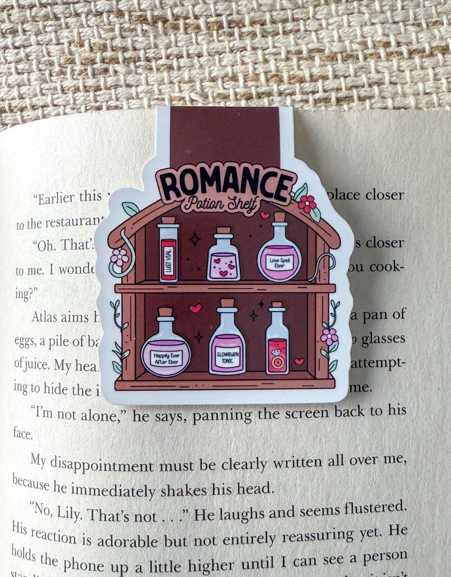 Potion Shelves Magnetic Bookmark