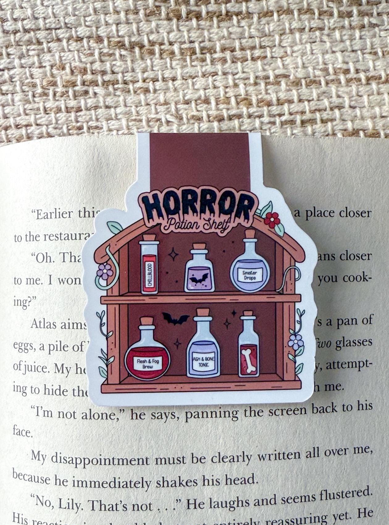 Potion Shelves Magnetic Bookmark