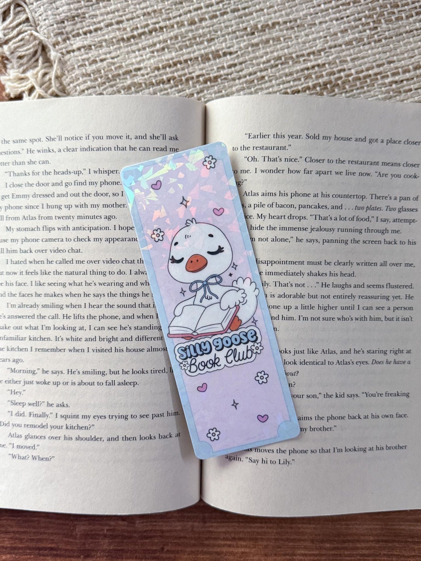 Silly Goose Book Club